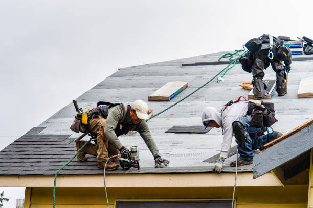 Professional Roof Installation technician working in Alplaus, NY
